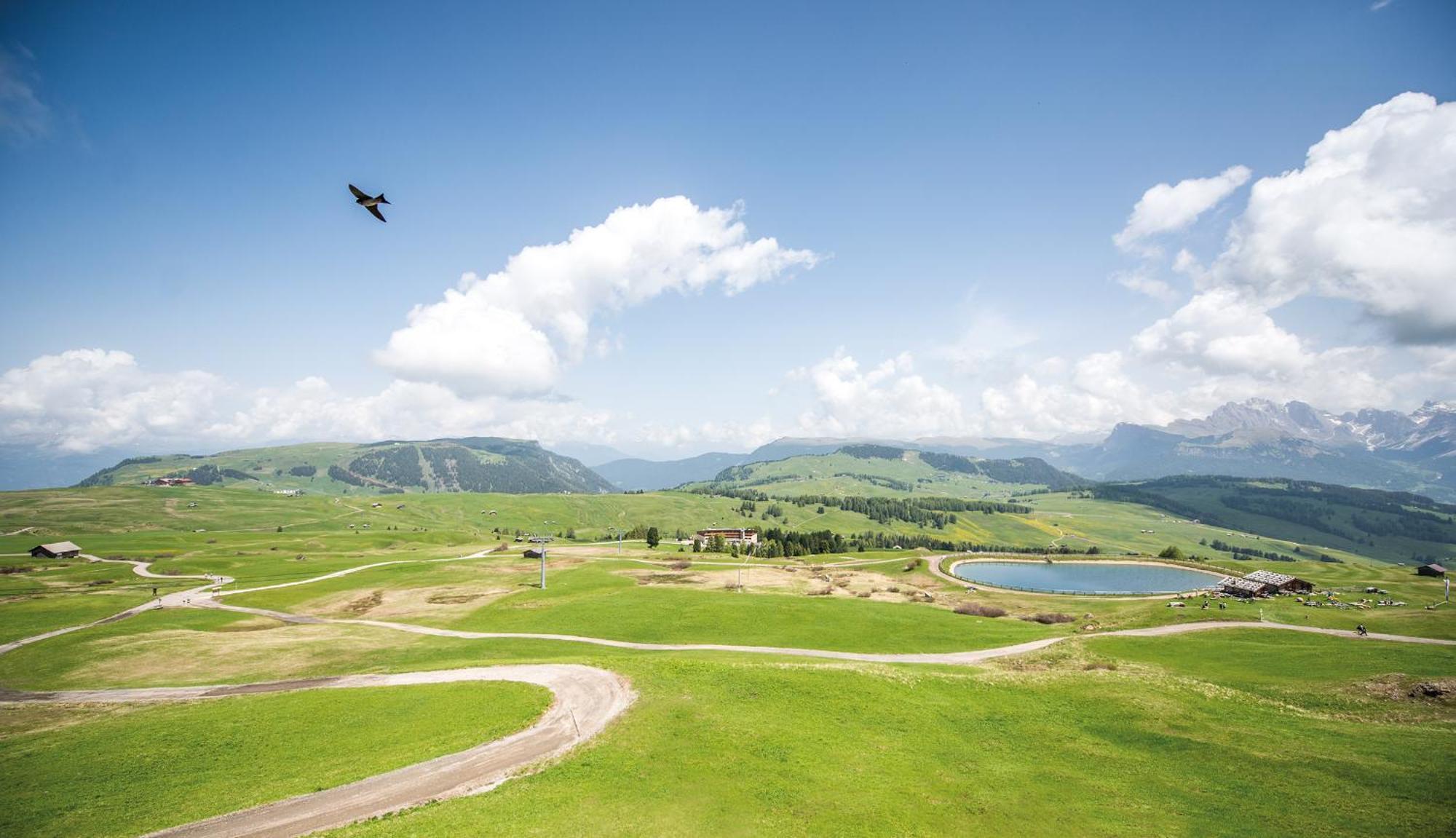 Hotel Goldknopf Alpe Di Siusi Buitenkant foto