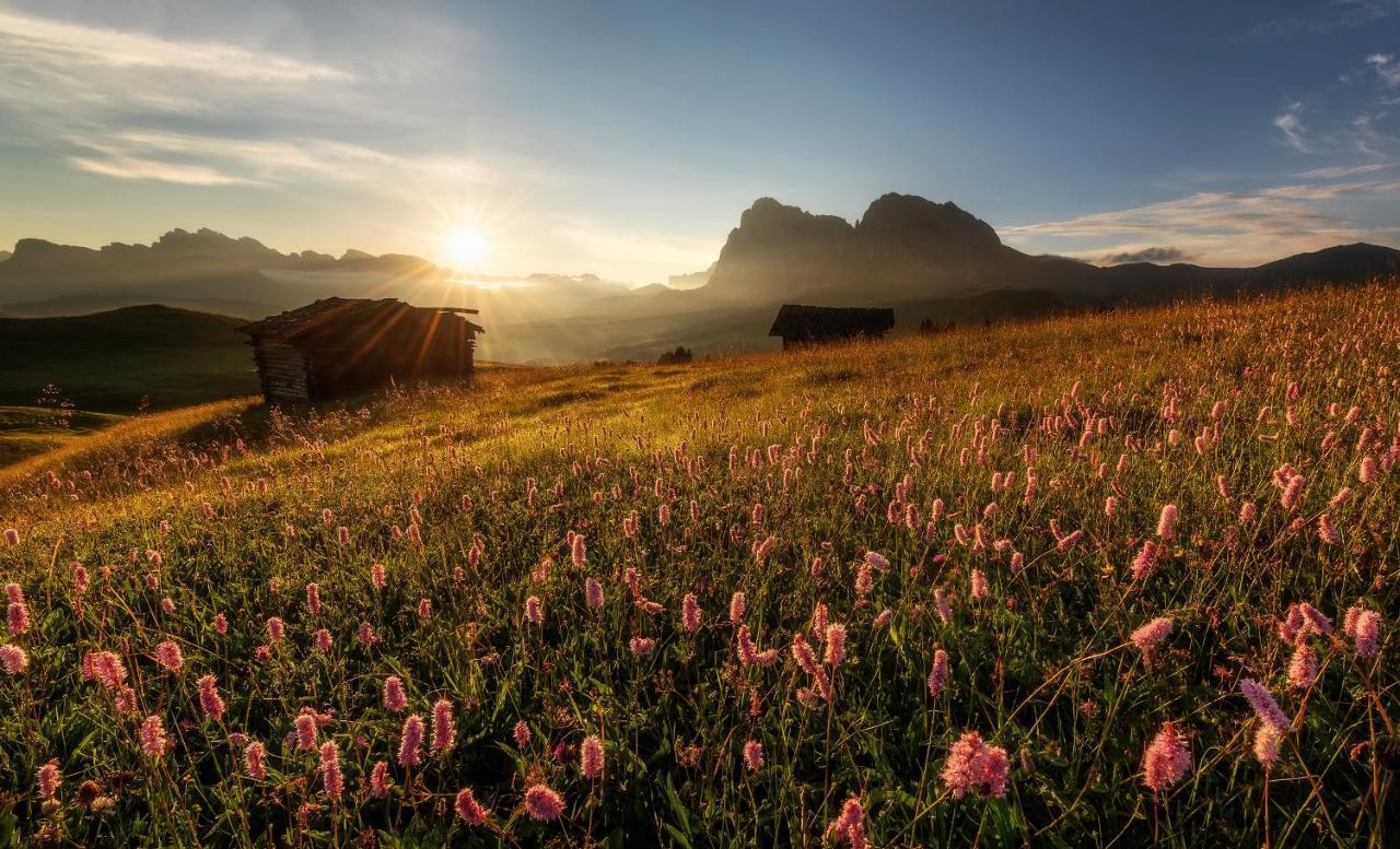 Hotel Goldknopf Alpe Di Siusi Buitenkant foto